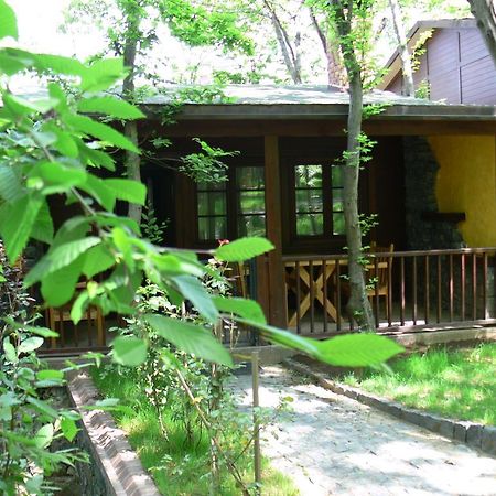 Dolunay Fanizan Hotel Fatsa Εξωτερικό φωτογραφία