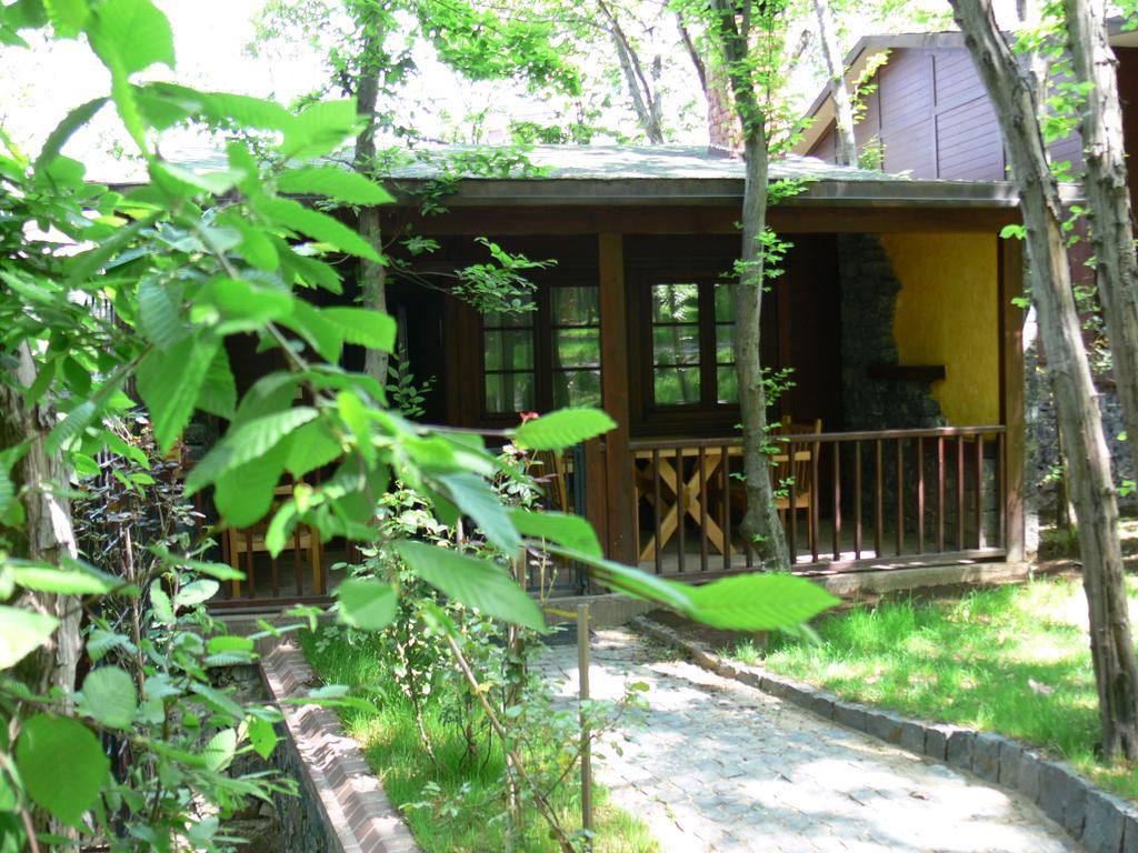 Dolunay Fanizan Hotel Fatsa Εξωτερικό φωτογραφία
